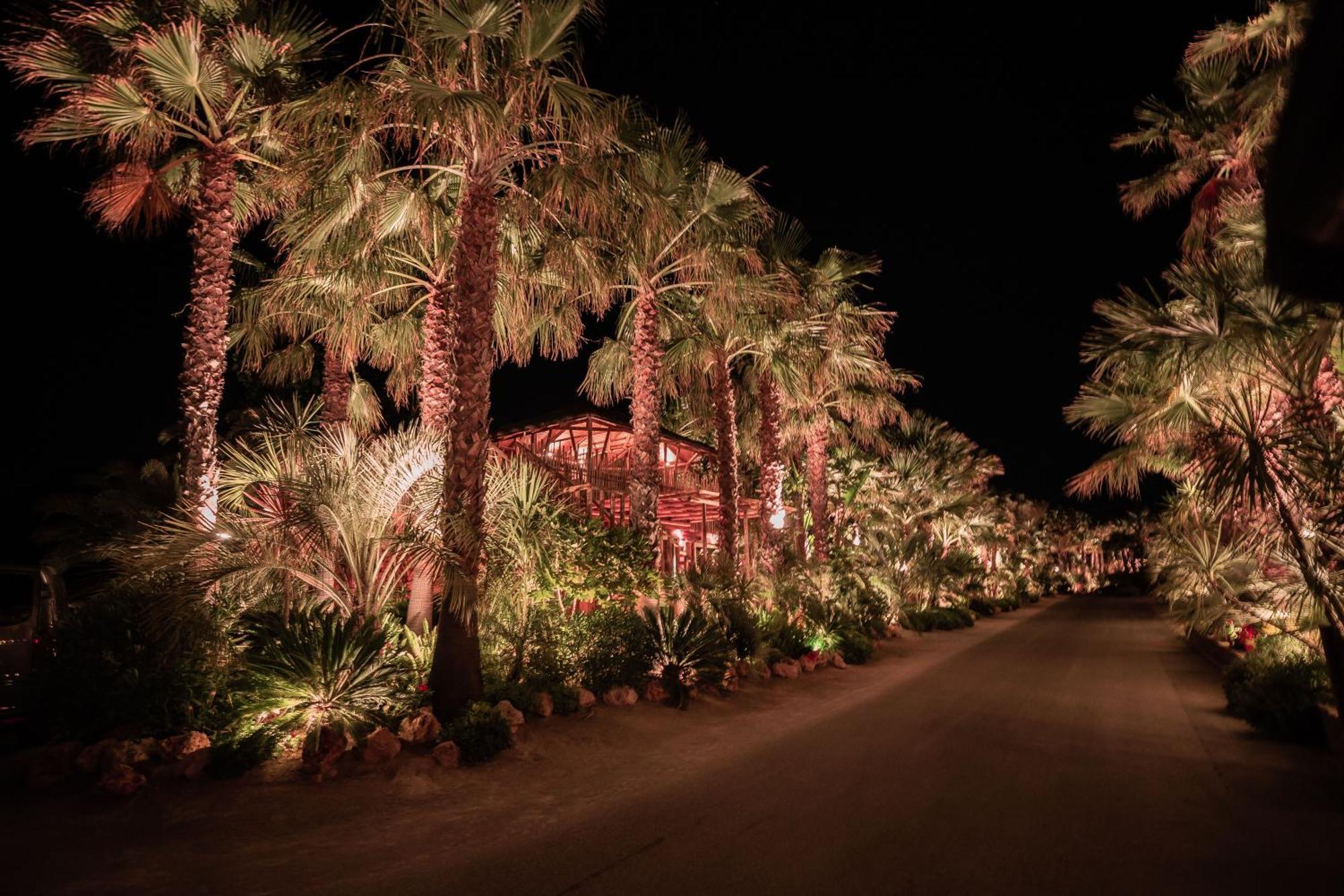 Toison D'Or Hotel Ramatuelle Exterior foto The Desert Botanical Gardens at night