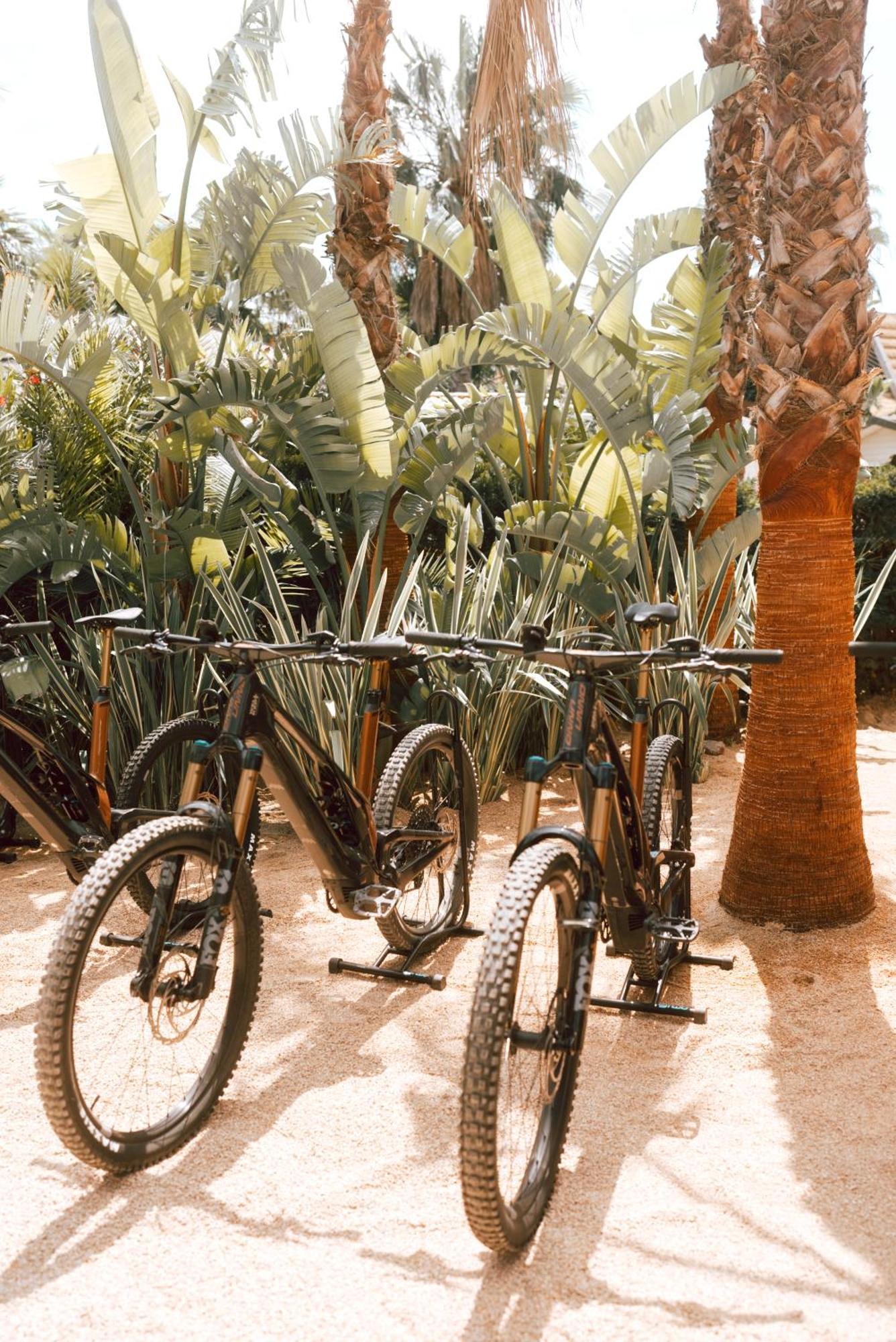 Toison D'Or Hotel Ramatuelle Exterior foto Bicycles at the Desert Botanical Gardens