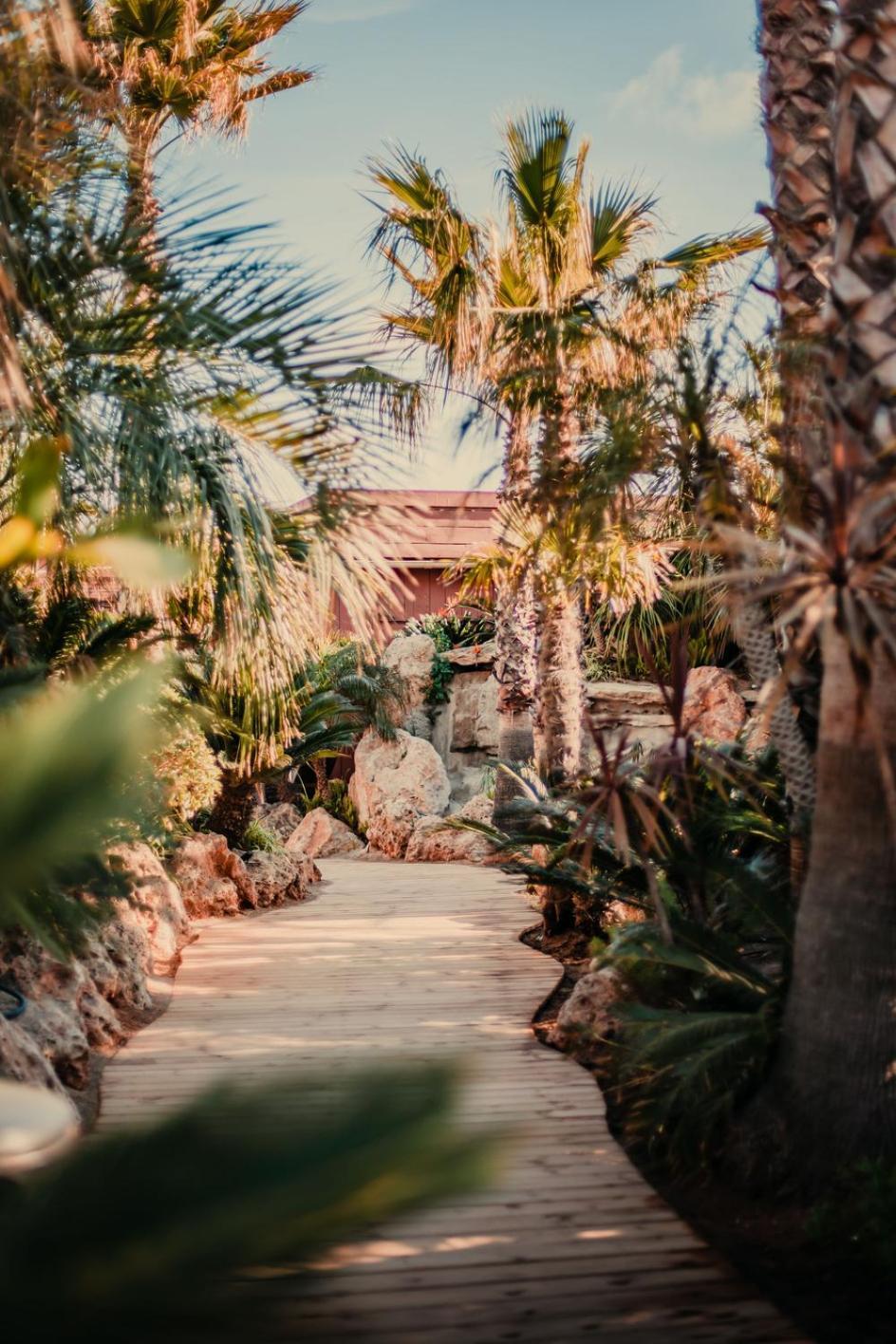 Toison D'Or Hotel Ramatuelle Exterior foto The Palm House
